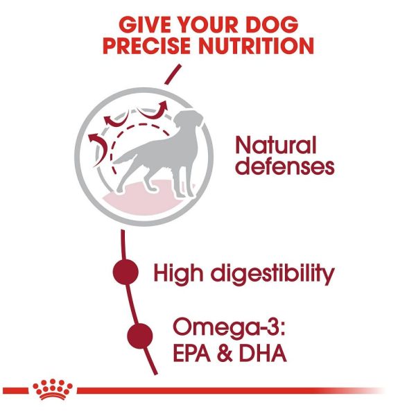 Royal Canin Size Health Nutrition Medium Adult Dry Dog Food Cheap