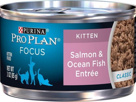 Purina Pro Plan Focus Kitten Classic Salmon & Ocean Fish Entree Canned Cat Food For Cheap